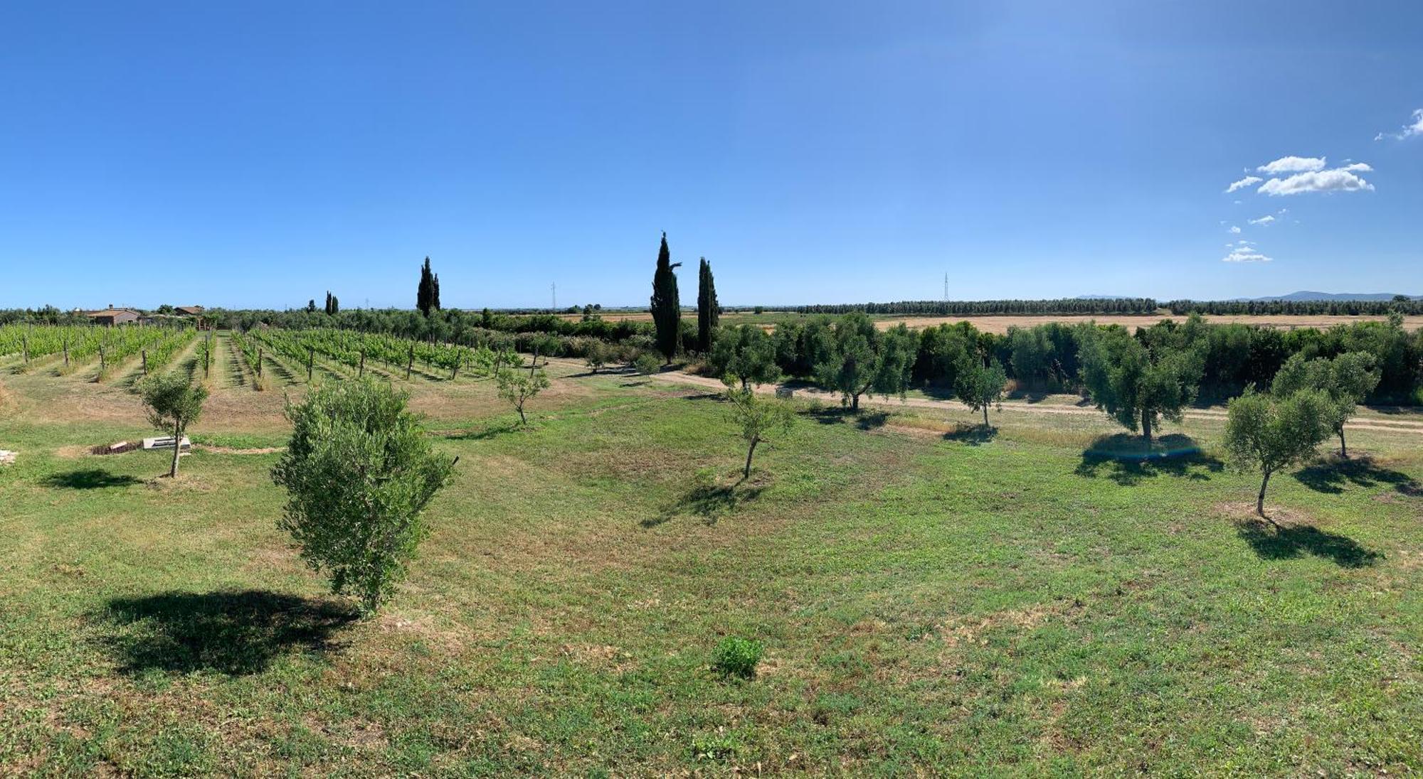 Resort Fonte Vulci Канино Экстерьер фото